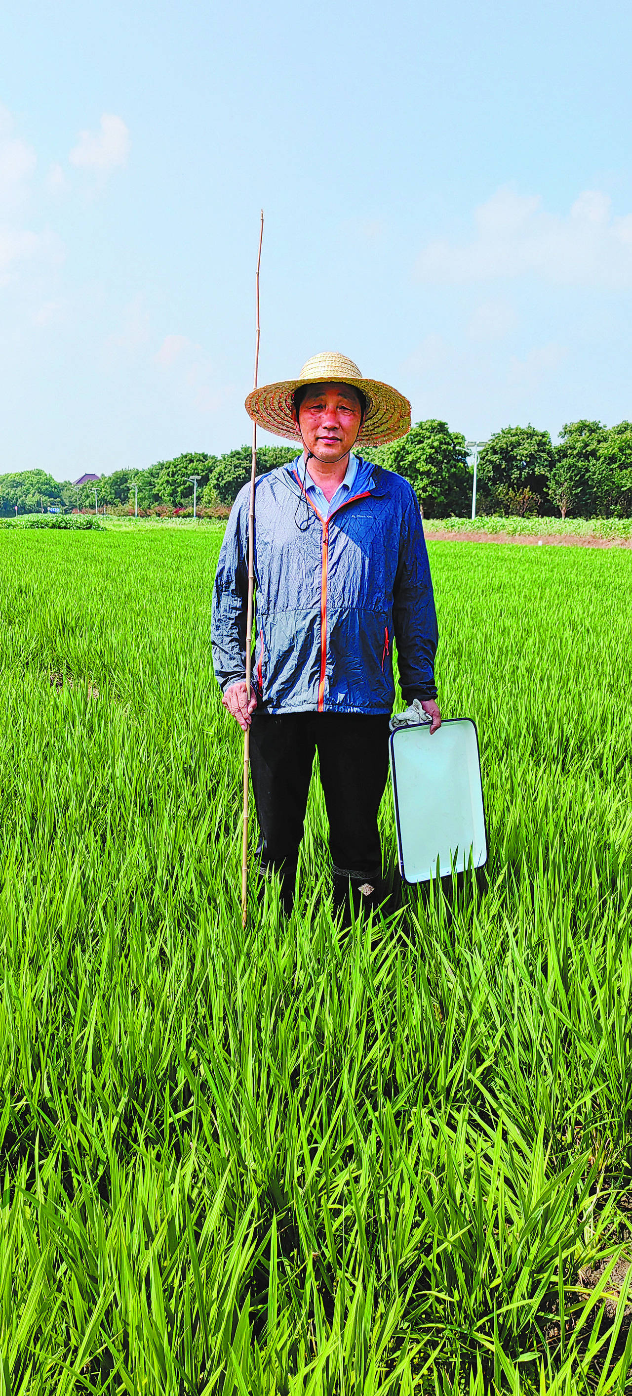 昆虫雷达千里虫踪尽收眼底